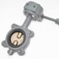Milwaukee Valve CL323E D10