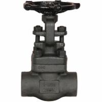 Warren Valve 0.25V851B-8THG
